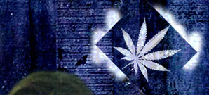 Dei Mudder Sei Gesicht